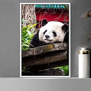 signwin Framed Canvas Wall Art Panda Animals Bear...