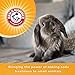 Arm & Hammer Tearless Shampoo for Small Animals | Safe for Use Around Guinea Pigs, Hamsters, Rabbits & All Small Animals, 8 ounces, Fresh Scent