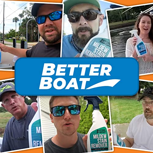 Mold and Mildew Stain Remover Cleaner Boat Seats Fabric, Canvas, Carpet