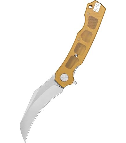 Amazon.com: SHOOZIZ HAN312 Pocket Knife, 3.38