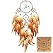 Urdeoms Big Brown Dream Catcher Wall Decor for Girls Women Boho Dream Catchers for Bedroom Adult Boys Teen Room Decor with Turquoise Hanging Ornament and Feathers Blessing Gifts(NO.31)