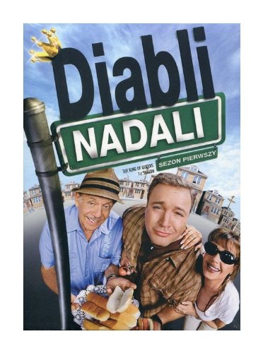 Diabli nadali (King of Queens) [4 DVD Box] [PL Import]
