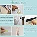 Colla Old Bold And Brash Squidward Art Artic None Frame Decorative Painting For Living Room Bedroom