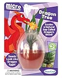 Dunecraft Dragon Tree Science Kit