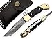 Back Lock Double Bolster Buffalo Horn 8'' 100% Handmade Damascus Steel Folding Pocket Knife 100% Prime Quality