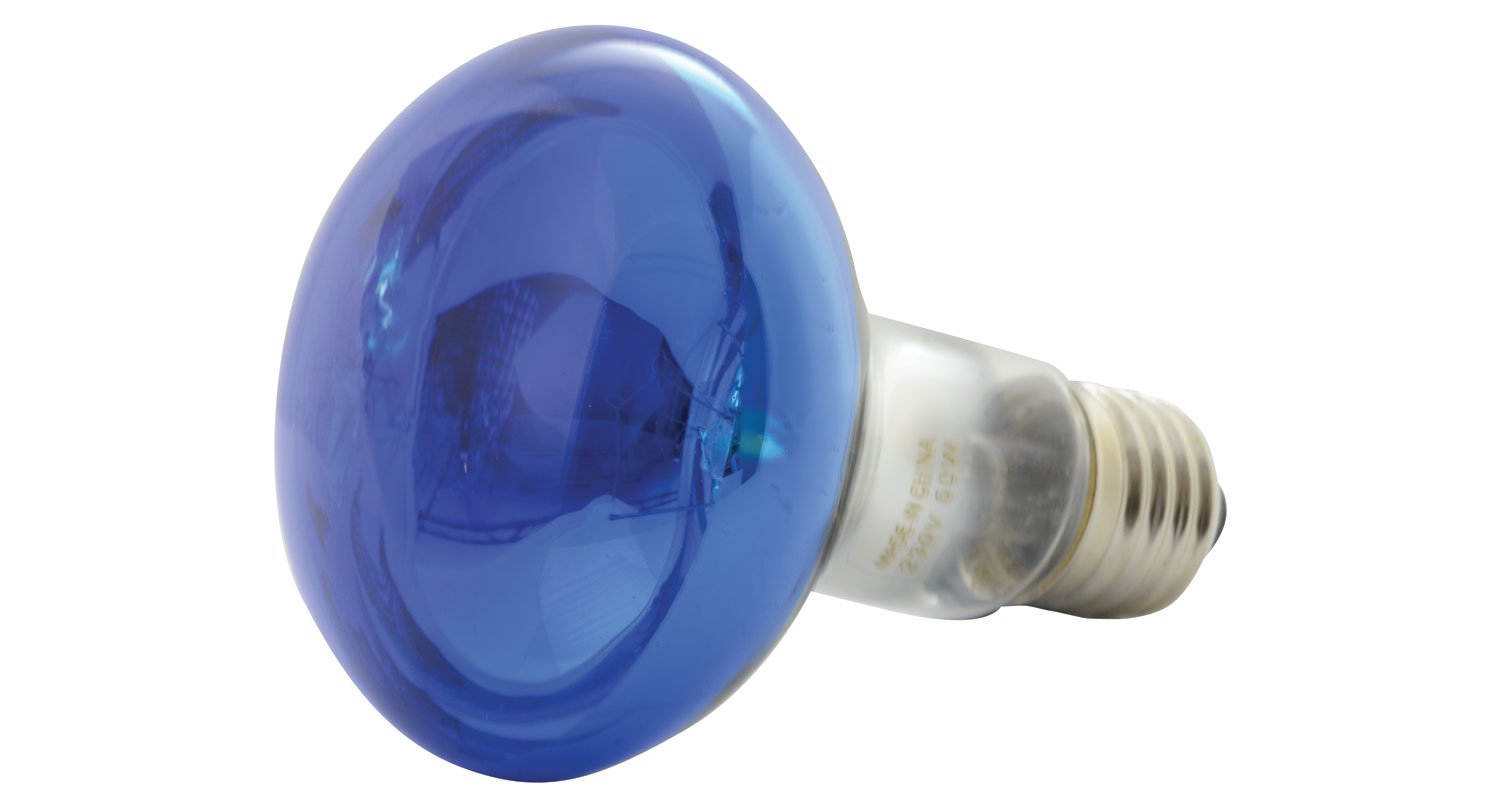 QTX R80 Coloured Reflector Lamps | BLUE