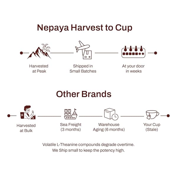 NEPAYA HERBAL TEA BAGS, 50 BIODEGRADABLE PYRAMID TEABAGS, CAFFEINE-FREE TULSI & TURMERIC HERBAL TEA WITH CINNAMON & BLACK PEPPER FLAVORS, FLORAL RELAXATION BLEND, PREMIUM HERBAL TEA BAGS, HOT OR ICED