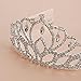 Elegant Tiara Crystal Hair Crown - Rhinestones Headband for Queen, Bridal, Princess in Wedding, Party and Birthday 1-2 - by NIPOO