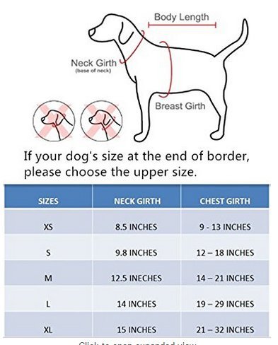 BINGPET BB5001 Soft Mesh Dog Harness Pet Walking Vest Puppy Padded Harnesses Adjustable , Navy Blue Small