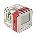 NiZHi TT-028 MP3 Mini Digital Portable Music Player Micro SD USB FM Radio (Red)