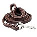 Petroad Heavy Duty Brown Leather Dog Leash for Large Dogs, Training Lead for Dogs and 6ft Long and 3/4 inch Large (Brown)