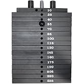 Ader Weight Stack 235 lbs - 15 lb Weight Stack (235 lb System)