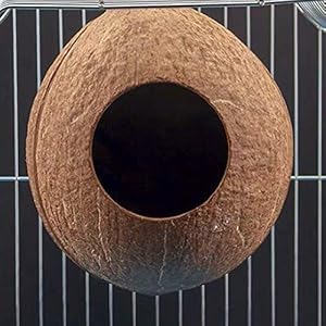 Balacoo Nido di Uccello Domestico Delicato Ciondolo Conchiglia di Cocco Naturale Nido di Uccello Artigianato Nido… - immagine 8