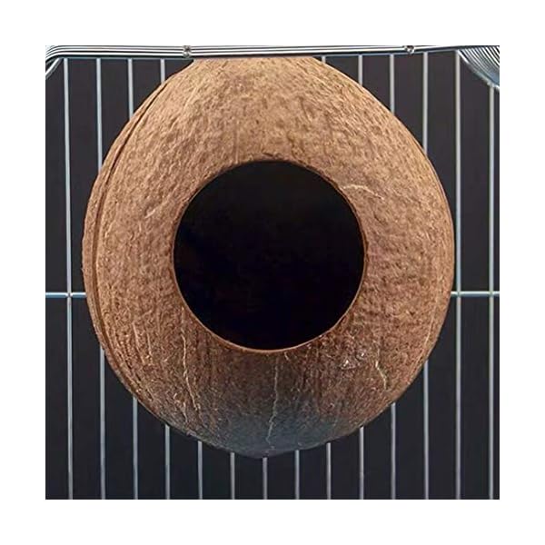 Balacoo Nido di Uccello Domestico Delicato Ciondolo Conchiglia di Cocco Naturale Nido di Uccello Artigianato Nido…