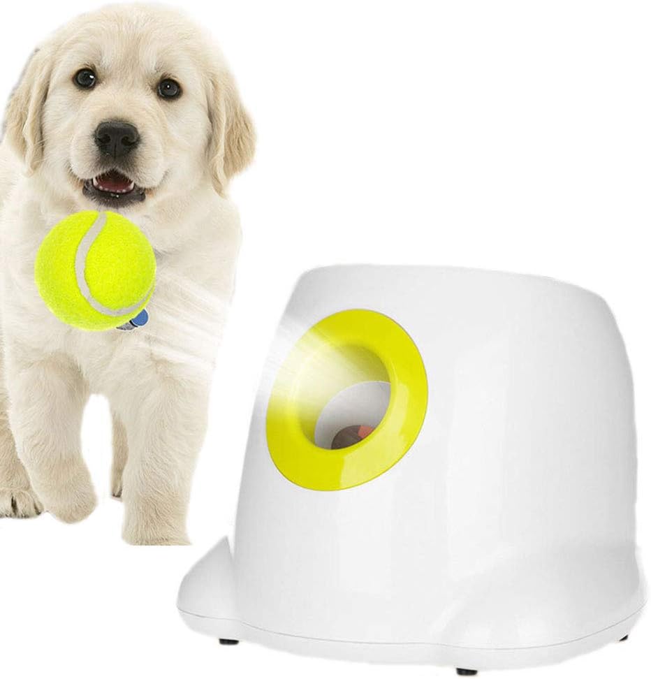 indoor ball thrower for dogs