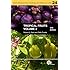 Tropical Fruits (Crop Production Science in Horticulture)