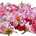 Cherry Blossom Flower Heads, Colorfulife Artificial Silk Flower Head Petals Bridal Shower Favors for Wedding Party Supplies Table Floor Decoration Centerpieces Home Decorative (100)