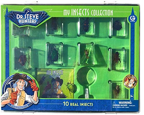 Dr. Steve Hunters My Insects Collection - 10 Real Insects