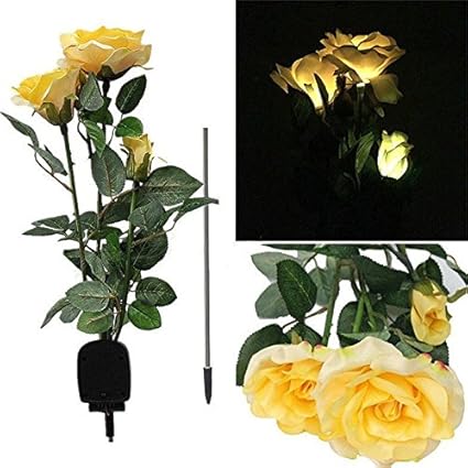 luce felice per le piante