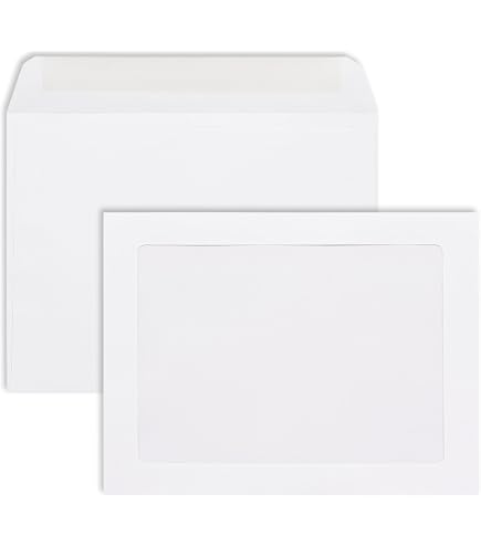 Amazon.com : LUXPaper 9 x 12 Full Face Window Envelopes | Bright