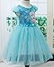 Eyekepper Kids Children Girls Cartoon Elsa Princess Cosplay Mesh Bubble Dress Blue