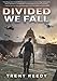 Divided We Fall (Divided We Fall, Book 1) (1)