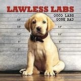 Lawless Labs: Good Labs Gone Bad by 