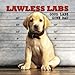 Lawless Labs: Good Labs Gone Bad by 