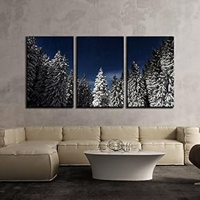 3 Piece Canvas Wall Art - Snow Covered Pine Tree Forest at Night - Modern Home Art Stretched and Framed Ready to Hang - 16"x24"x3 Panels