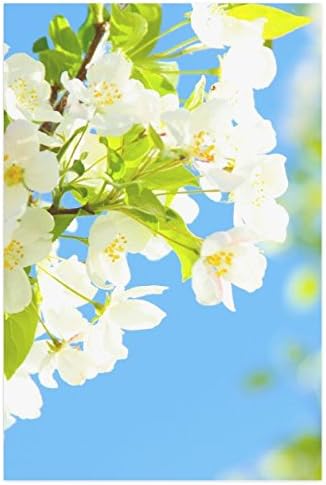 Amazon Co Jp Artsadd ポスター アートプリン インテリア おしゃれ 部屋 リビング雑貨 Poster x30 インチ Bright Blooms ホーム キッチン
