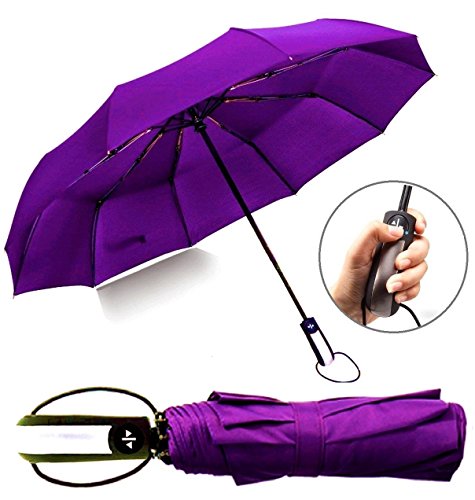 Colorful Life Travel Umbrellas for Men and Women,Floding Strong Compact Umbrellas for Rain and Sun with 210T 10 Ribs Light Weight Windproof Waterproof Umbrellas Automatic Open Close (Purple)