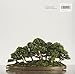 Bonsai: A Patient Art