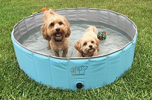 MyHomeZoo Dog Pool – Foldable and Light Weight Above Ground Swimming and Bathing Tub - Suitable for Small to Large Dogs, Cats and Other Pets – Fun for kids and pets to play or outdoor Baths/Grooming