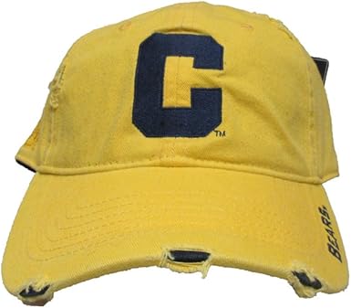 distressed polo hat