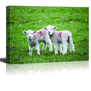 signwin Canvas Wall Art Easter Day Theme Canvas...