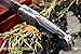 DKC Knives (24 5/18) DKC-726 Clint Damascus Folding Pocket Knife 4.5