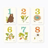 Sea Urchin Studio - Numbers Wall Art Woodland Forest - (5 X 7 Inches) 10 Cards