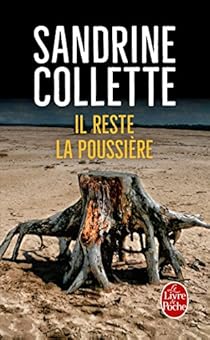 Il reste la poussière par Collette