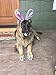 Midlee Easter Bunny Gray & Pink Rabbit Ears for Large Dogs Headband with Tail