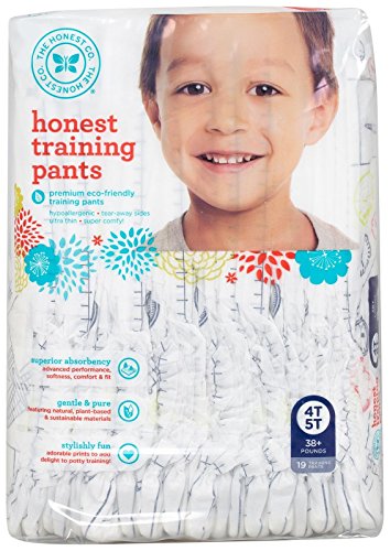 The Honest Company Training Pants (Airplanes Print, Size 4T/5T) 19 count