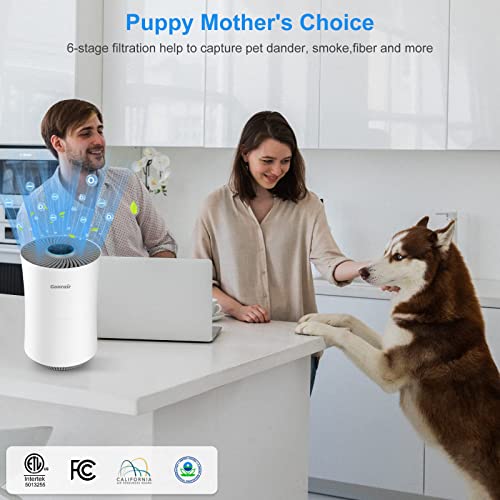 Air Purifiers for Bedroom Home Large Room Up to 1420 ft² 6 Layers H13 True HEPA Filter, Ionizer Air Purifier with Air Quality Sensor Timer, Purify 99.99% Smoke Pet Hair Odor, Available for California