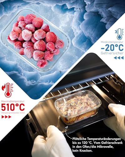 BOROHOUSE Glass Containers with Lid Set (12 Pieces), High Borosilicate, Microwave-Safe, Oven Safe, 20°C ~ 510°C, with Valve, Dishwasher Safe - Perfect for Storage Jars, Meal Prep & Freezer Containers, Blue