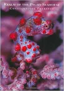 Realm Of The Pygmy Seahorse An Underwater Photography