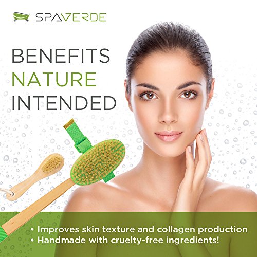 Beauty & Personal Care, Personal Care, Bath & Bathing Accessories, Bathing Accessories, Bath & Body Brushes