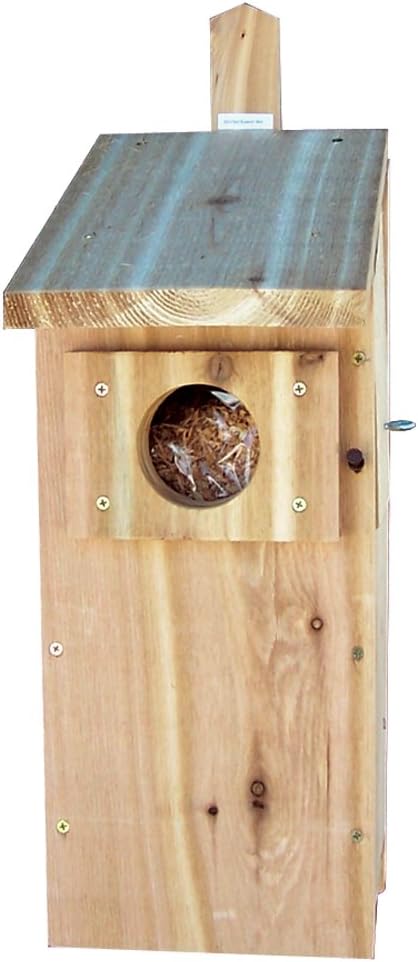 Stovall6H Screech Owl Box