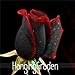 True Blood Black Rose 100PCS Rare Rose seeds Flowers Seeds.For Garden Bonsai Planting. Semillas de rosaC0QBUZ primary