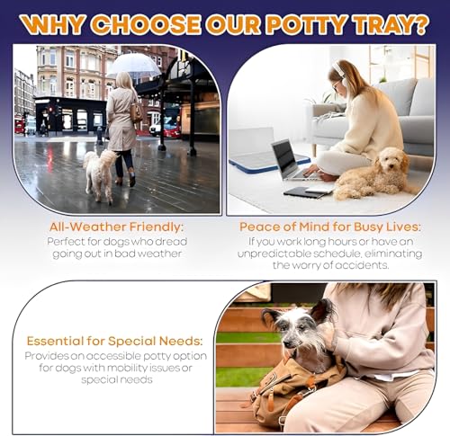 Beauenty Pee Pad Holder for Dogs, 19.69"X15.35" Dog Potty Tray with Raised Edge, Indoor Dog Litter Box for Small to Large Pets, Eco-Friendly & Easy to Clean