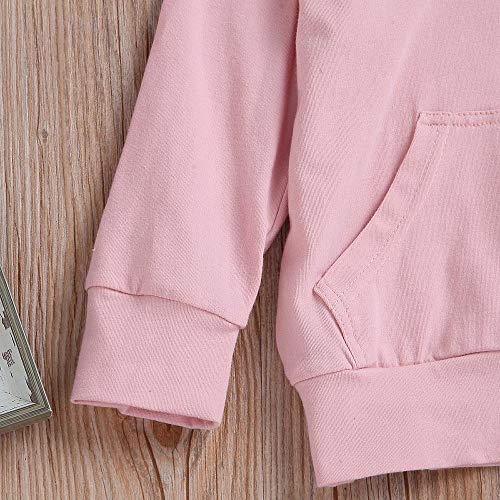 Kshion Infant Boys Girls Winter Shark Hooded Sweatshirt with Kangaroo Muff Pockets& Shark Fin (Pink, 2T)