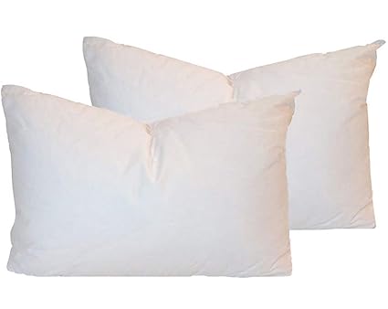 Amazon Com Nikicains Down And Feather Square Pillow Insert Cotton