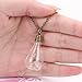 FM42 Dried Dandelion Seed Glass Locket Pendant Necklace with 26
